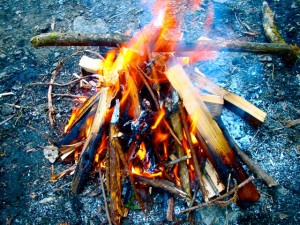 e3819fe3818de781ab2_2 e3819fe3818de781ab2_2