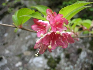 img_7482 img_7482