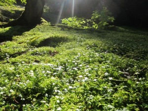 img_0178_2 img_0178_2