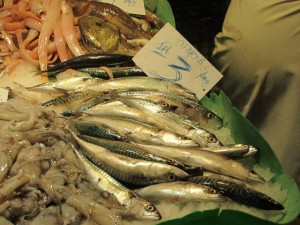 img_2564 img_2564