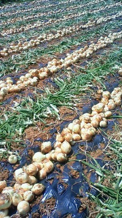 201303301309000 201303301309000