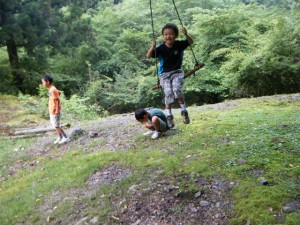 dscf7295 dscf7295