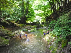 dscf8763 dscf8763