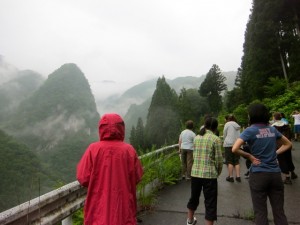 img_9846 img_9846