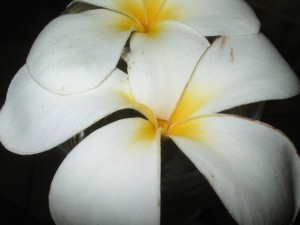 img_0122 img_0122