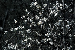 efbd81e38080e382b3e38396e382b7efbc9103 efbd81e38080e382b3e38396e382b7efbc9103