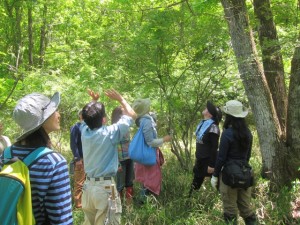 img_5473 img_5473