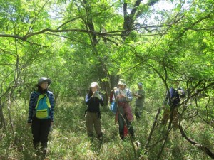 img_5483 img_5483