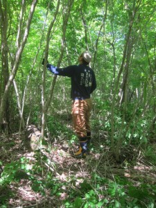 img_5553 img_5553