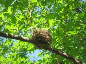 img_5569 img_5569