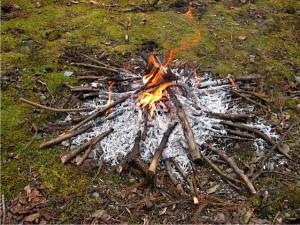 img_1957-e38390e383bce382b8e383a7e383b3-2 img_1957-e38390e383bce382b8e383a7e383b3-2