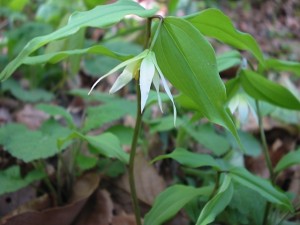 e38381e382b4e383a6e383aaefbc91 e38381e382b4e383a6e383aaefbc91