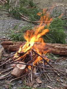 img_5581_2 img_5581_2