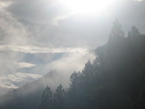 img_0016 img_0016