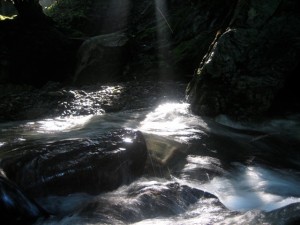 img_5141 img_5141