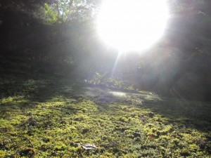 img_0167 img_0167