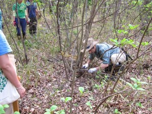 img_8838 img_8838