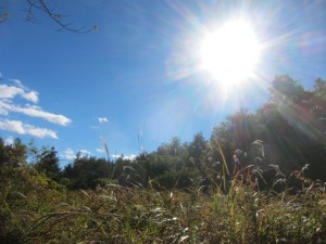 img_3892 img_3892