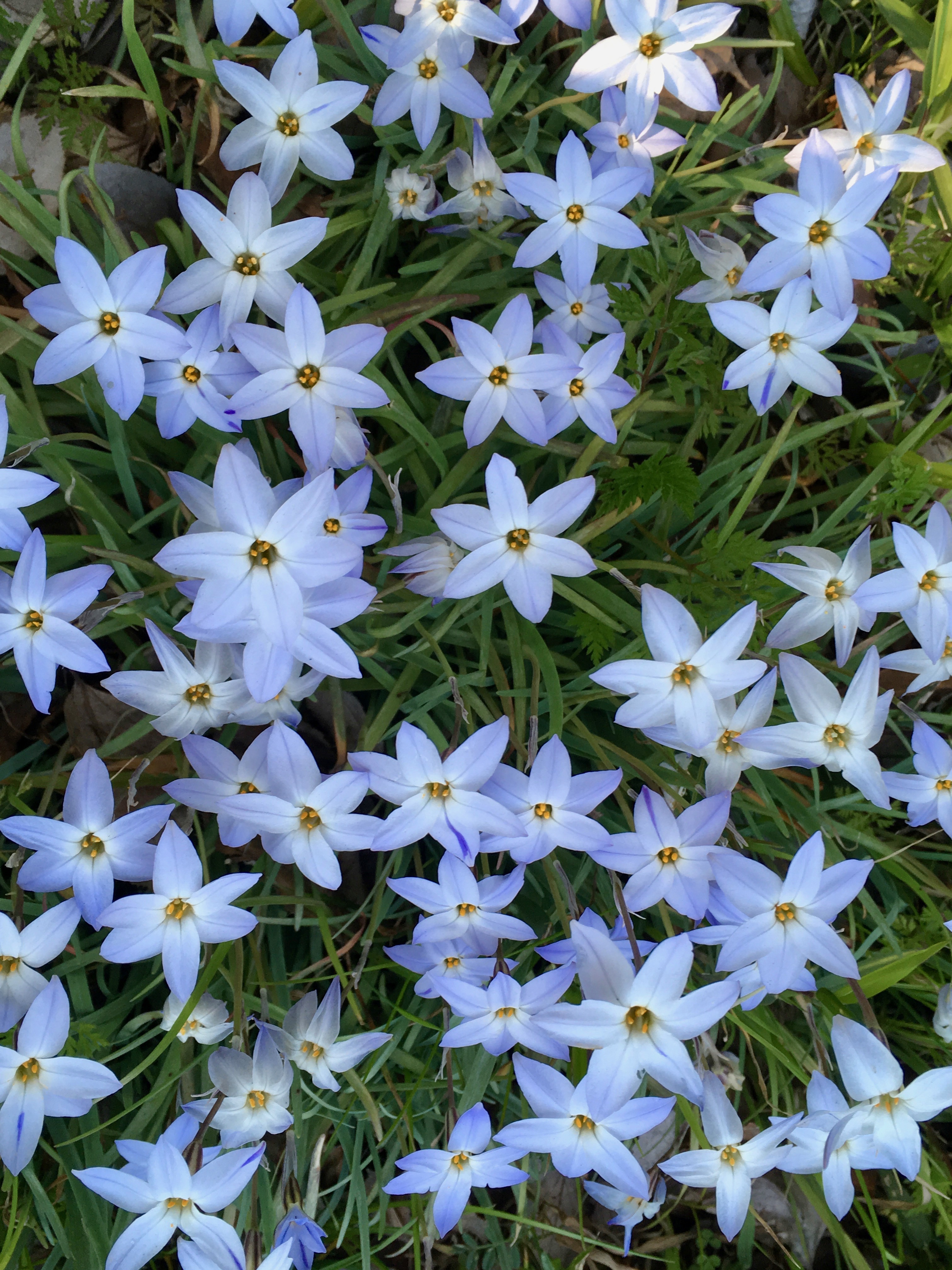 「私たちには『今』がある」 つれづれ日記