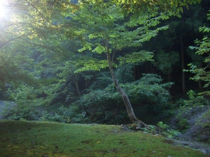 〜大地の声を聞く〜  シェルター・キャンプ2021
