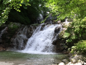 秋のリトリート〜滝めぐりと森あそび