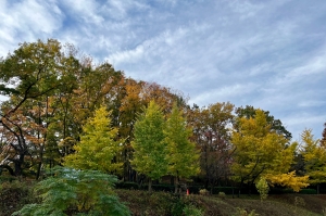 エディブル授業2021  愛和小学校