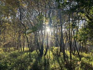 地球のケア・テイカーになろう！ 2021　レポート＆参加者の感想