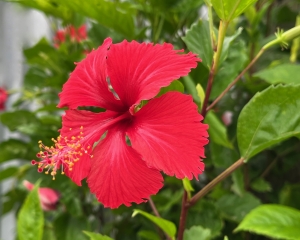 いのちの自然塾2022　知りたい！お産のこと 〜産む と 生まれる〜