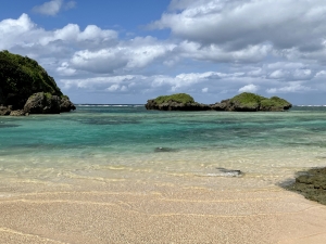 「弱さと強さ」　つれづれ日記