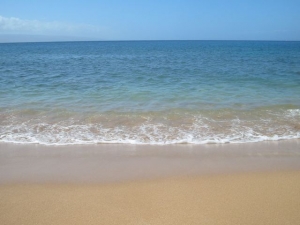 いのちの自然塾2022　レポート