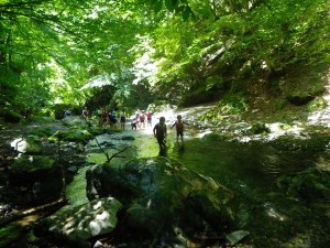 Kids 夏の のびのびキャンプ 2023