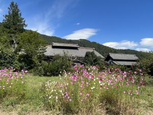 全体を学ぶ学校2023 第2回 古武術に学ぶ 身体の動きと全体性