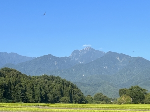「人の振り見て我が振り直せ」 つれづれ日記