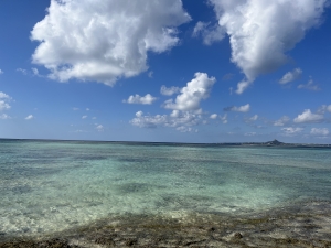 いのちの自然塾2024　知りたい！お産のこと 〜産む と 生まれる〜