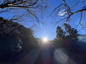 早春たき火塾2024  レポート