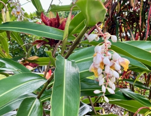 「コミュニティ」　つれづれ日記