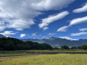 「日本にあるもの再評価」 つれづれ日記