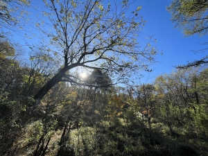 全体を学ぶ学校2024　 今地球で起きていること〜そもそもの大前提を再検証　　