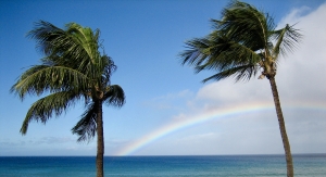 いのちの自然塾2025 知りたい!お産のこと 〜産む と 生まれる〜