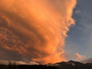 全体を学ぶ学校2025　ことばが生まれるところ〜詩人と一緒に表現の源を探る　9月5日（金）夜〜7日（日）　　