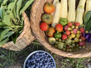 Earthmanship 畑プロジェクト2025(年度）ー次回は 12月7日（日）　