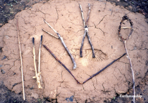 全体を学ぶ学校2025 土から見える食の世界