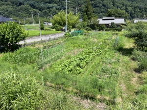2026年度 地球のふるさと再生プロジェクト