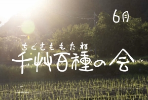 千艸百種（ちぐさももたね）の会　6月