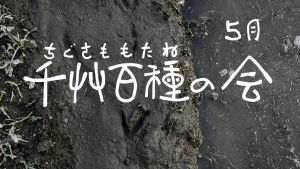 千艸百種（ちぐさももたね）の会　５月