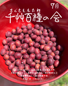 千艸百種（ちぐさももたね）の会　7月