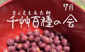 千艸百種（ちぐさももたね）の会　7月